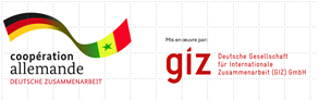 Logo GIZ